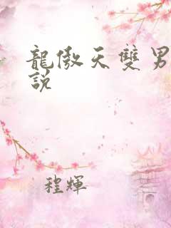 龙傲天双男主小说