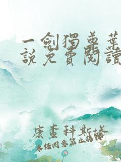 一剑独尊叶玄小说免费阅读