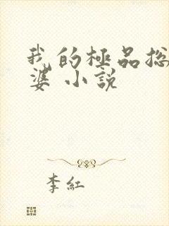 我的极品总裁老婆 小说
