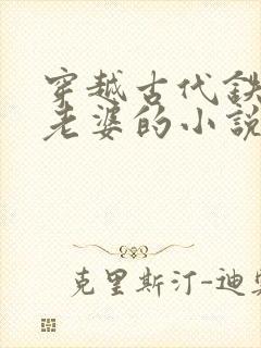 穿越古代铁匠选老婆的小说