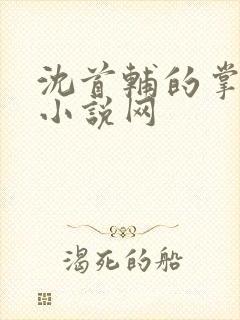 沈首辅的掌上娇小说网