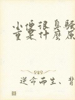 小便很臭骚味很重是什么原因