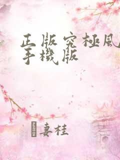 正版究极风暴4手机版