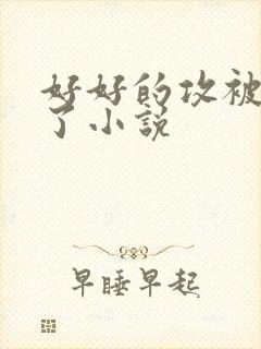 好好的攻被玩坏了小说