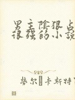 男主阴狠占有欲很强的小说现言