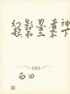 幻影忍者神龙崛起第三季下半部分免费观看