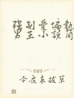 强制爱偏执疯双男主小说简介