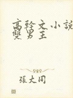 高干文小说推荐双男主