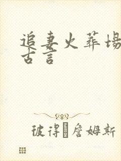追妻火葬场po古言