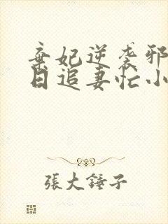 弃妃逆袭邪王日日追妻忙小说最新