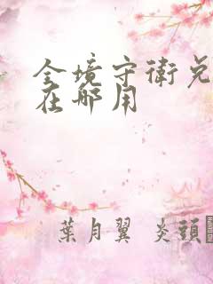 全境守卫兑换码在哪用