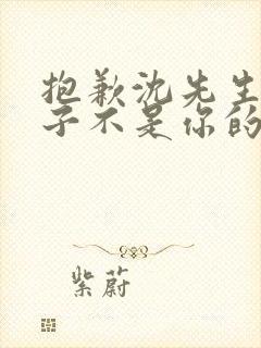 抱歉沈先生,孩子不是你的短剧免费