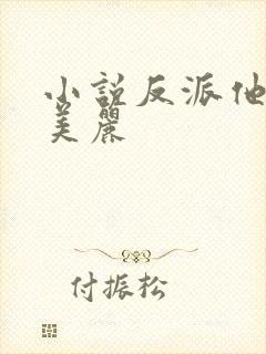 小说反派他过分美丽