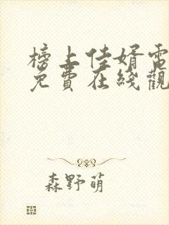 榜上佳婿电视剧免费在线观看全集