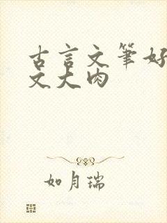 古言文笔好的宠文大肉