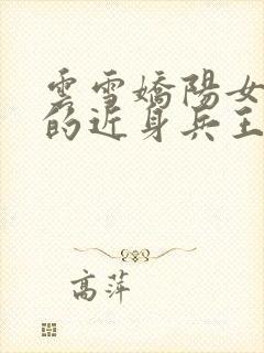 云雪娇阳女总裁的近身兵王