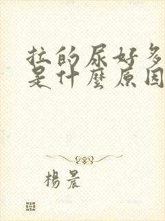 拉的尿好多泡泡是什么原因