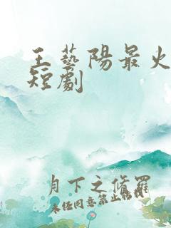 王艺阳最火十部短剧