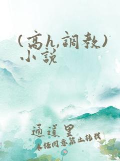 (高h,调教)小说