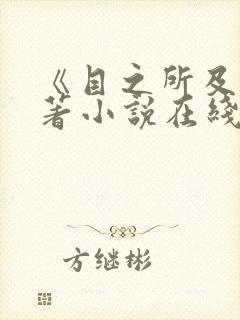 《目之所及》原著小说在线阅读