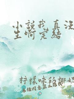 小说我真没想重生啊完结