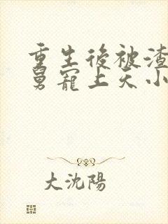 重生后被渣男舅舅宠上天小说免费阅读