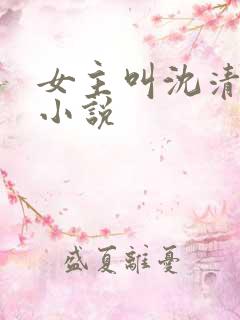 女主叫沈清欢的小说
