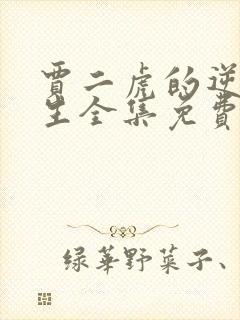 贾二虎的逆袭人生全集免费阅读