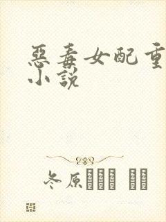 恶毒女配重生后小说