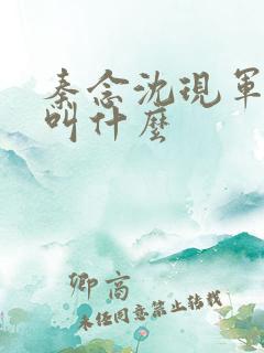 秦念沈现军短剧叫什么