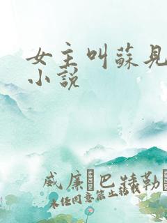 女主叫苏见欢的小说