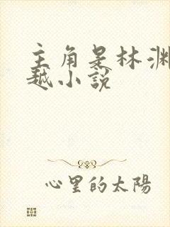 主角是林渊的穿越小说