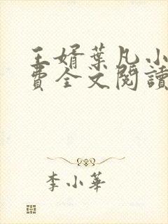 王婿叶凡小说免费全文阅读