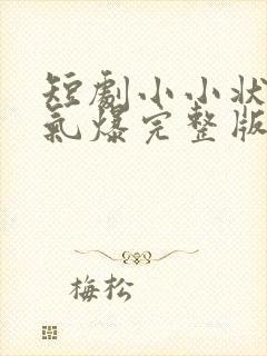 短剧小小状元脾气爆完整版在线观看