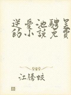 逆爱池骋吴所畏的小说免费阅读