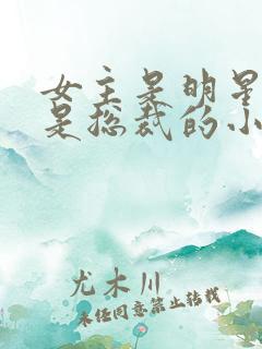 女主是明星男主是总裁的小说