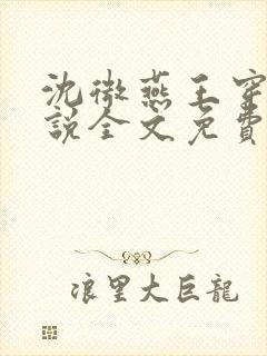 沈微燕王穿越小说全文免费阅读