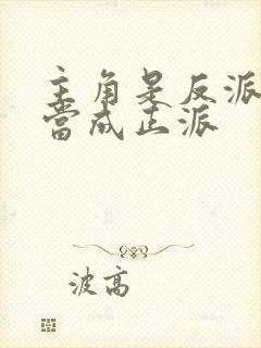 主角是反派却被当成正派