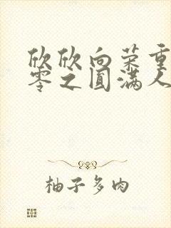 欣欣向荣重生九零之圆满人生