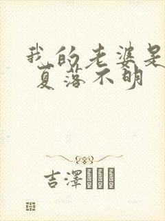 我的老婆是狐仙 夏落不明