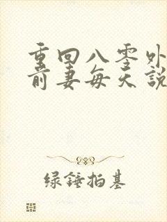 重回八零外交官前妻每天说对不起