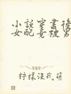 小说穿书后恶毒女配竟被男主缠上了