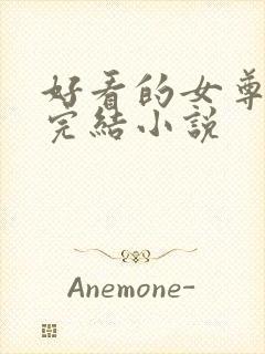 好看的女尊穿越完结小说