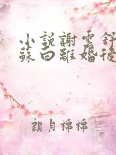 小说谢云舒,沈苏白离婚后被军少宠上天