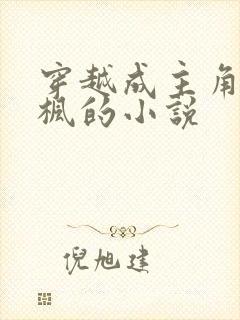 穿越成主角叫叶枫的小说