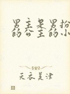 男主是男扮女装的公主的小说