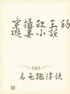 穿摄政王的侍爱逃妻小说