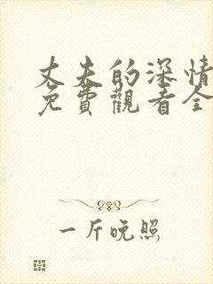 丈夫的深情谎言免费观看全集