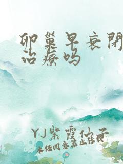 卵巢早衰闭经能治疗吗