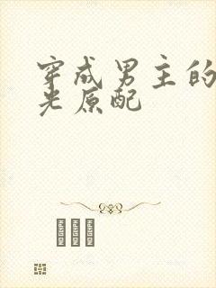 穿成男主的白月光原配